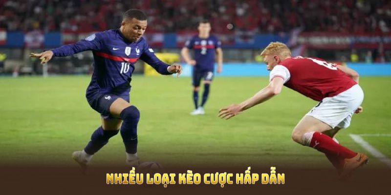 Thể Thao 23WIN – Top Nhà Cái Cá Cược Thể Thao Đáng Chơi Nhất 5 Nhiều loại kèo cược hấp dẫn trong sảnh thể thao 23WIN