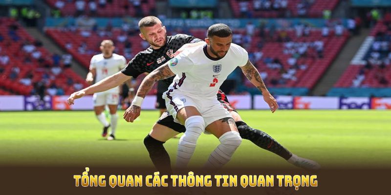Thể Thao 23WIN – Top Nhà Cái Cá Cược Thể Thao Đáng Chơi Nhất 4 Tổng quan các thông tin quan trọng về thể thao 23WIN thu hút đông đảo người chơi